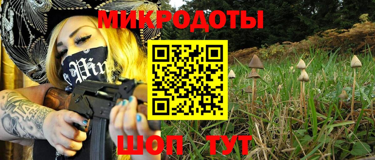 Галлюциногенные грибы Cubensis Белгород