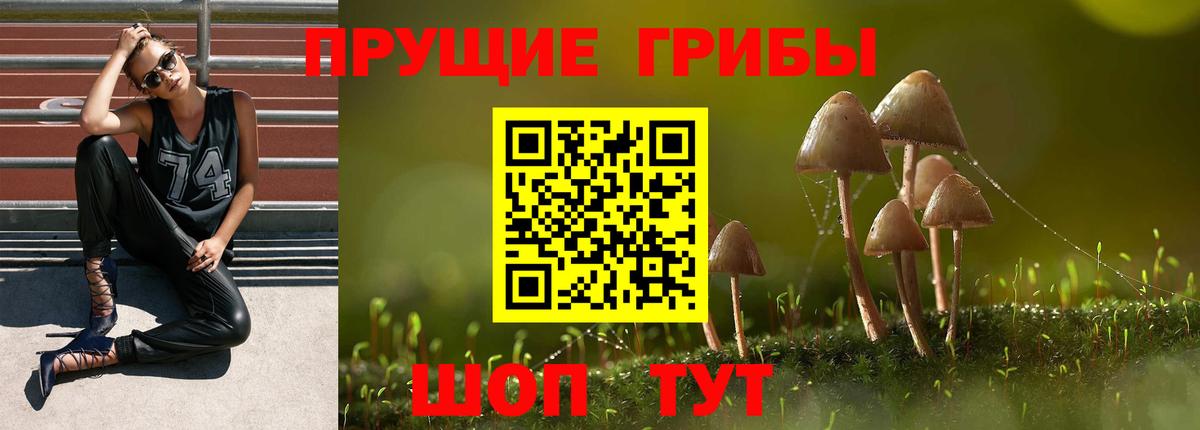 Белгород  Галлюциногенные грибы MAGIC MUSHROOMS  Вход с VPN  Псилоцибиновые грибы Cubensis 
