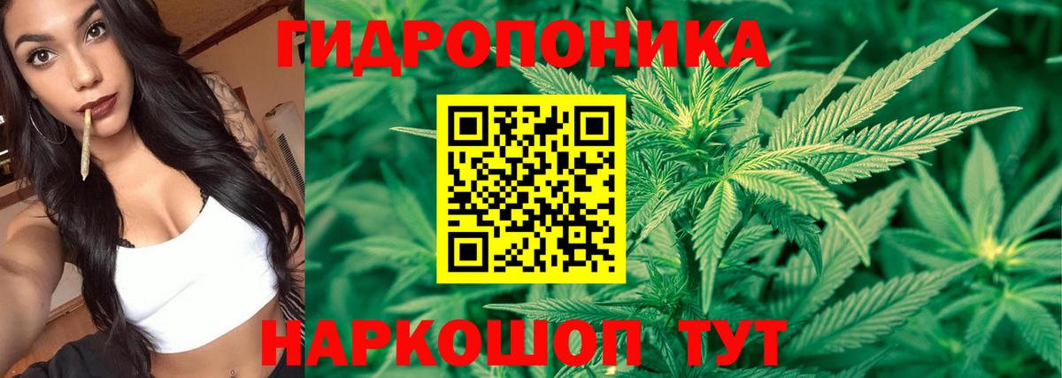 Марихуана планчик  Бошки марихуана THC 21%  Бошки марихуана AK-47  Шишки марихуана планчик  Белгород  Вход с VPN 